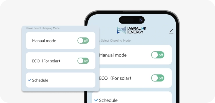 Flexible Charging Modes